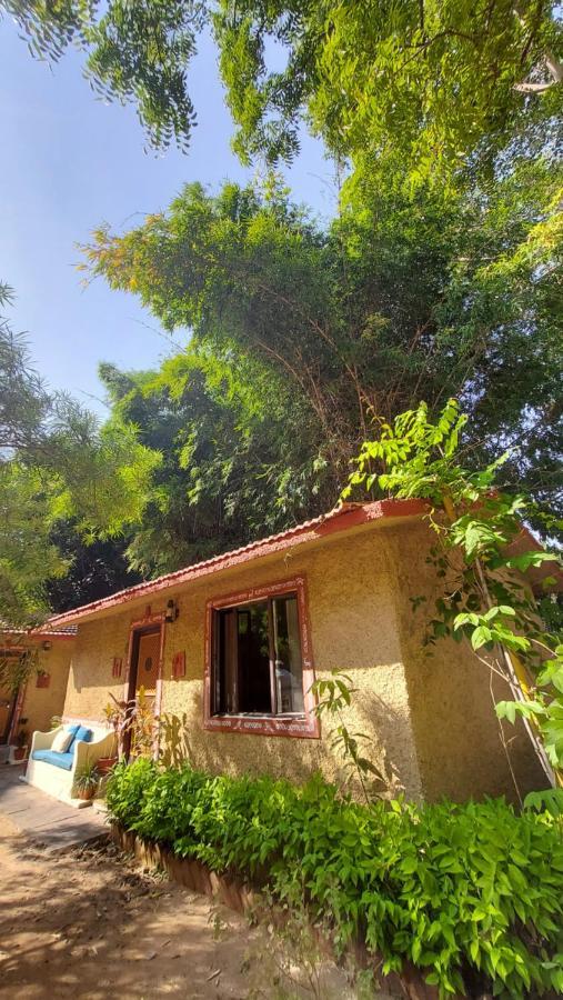 Bandhavgarh Jungle Tala (Madhya Pradesh)