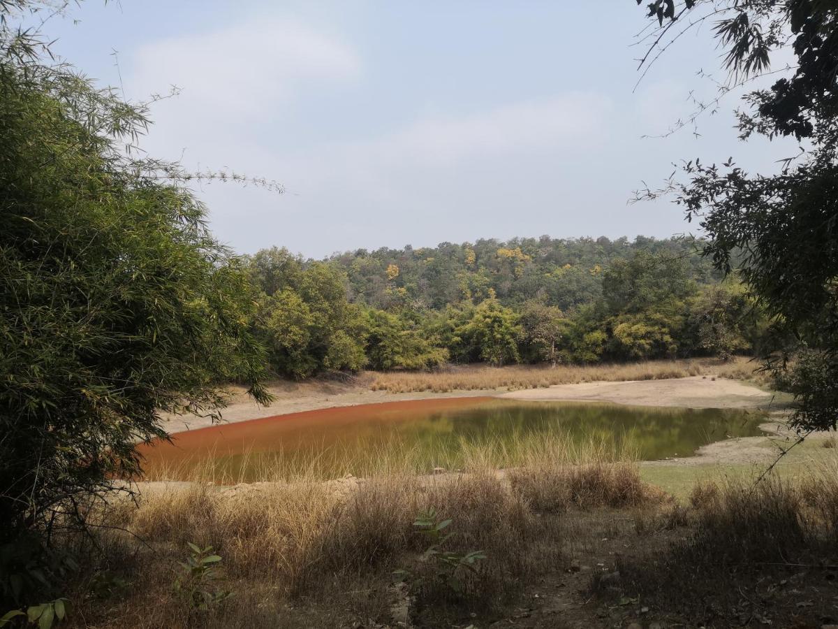 Bandhavgarh Jungle *