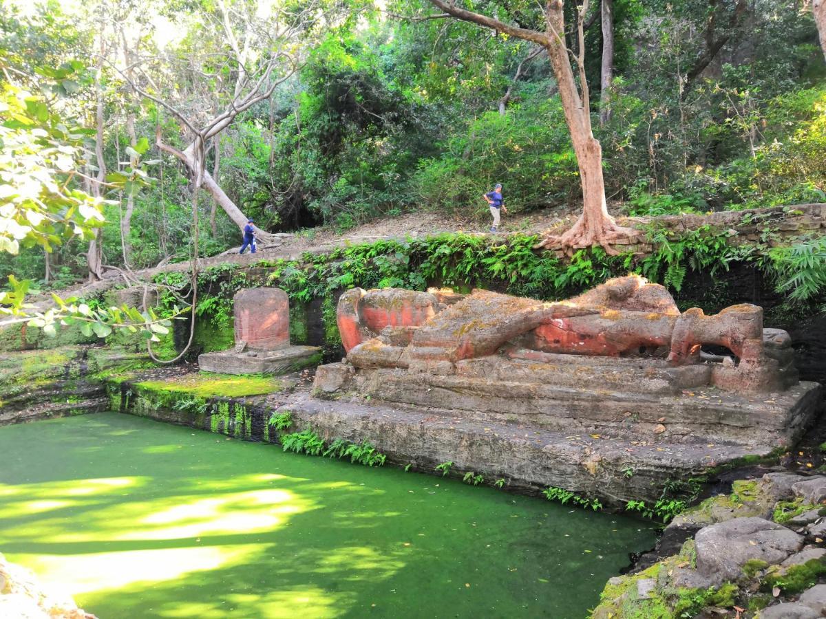 Lodge Bandhavgarh Jungle