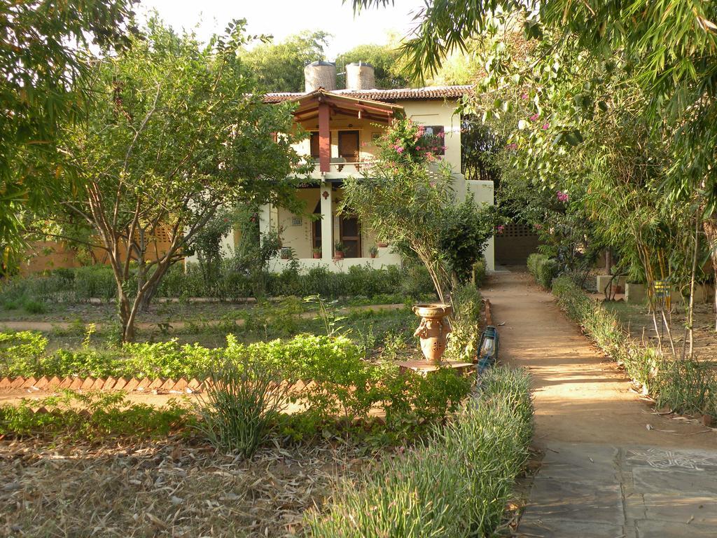 Lodge Bandhavgarh Jungle *