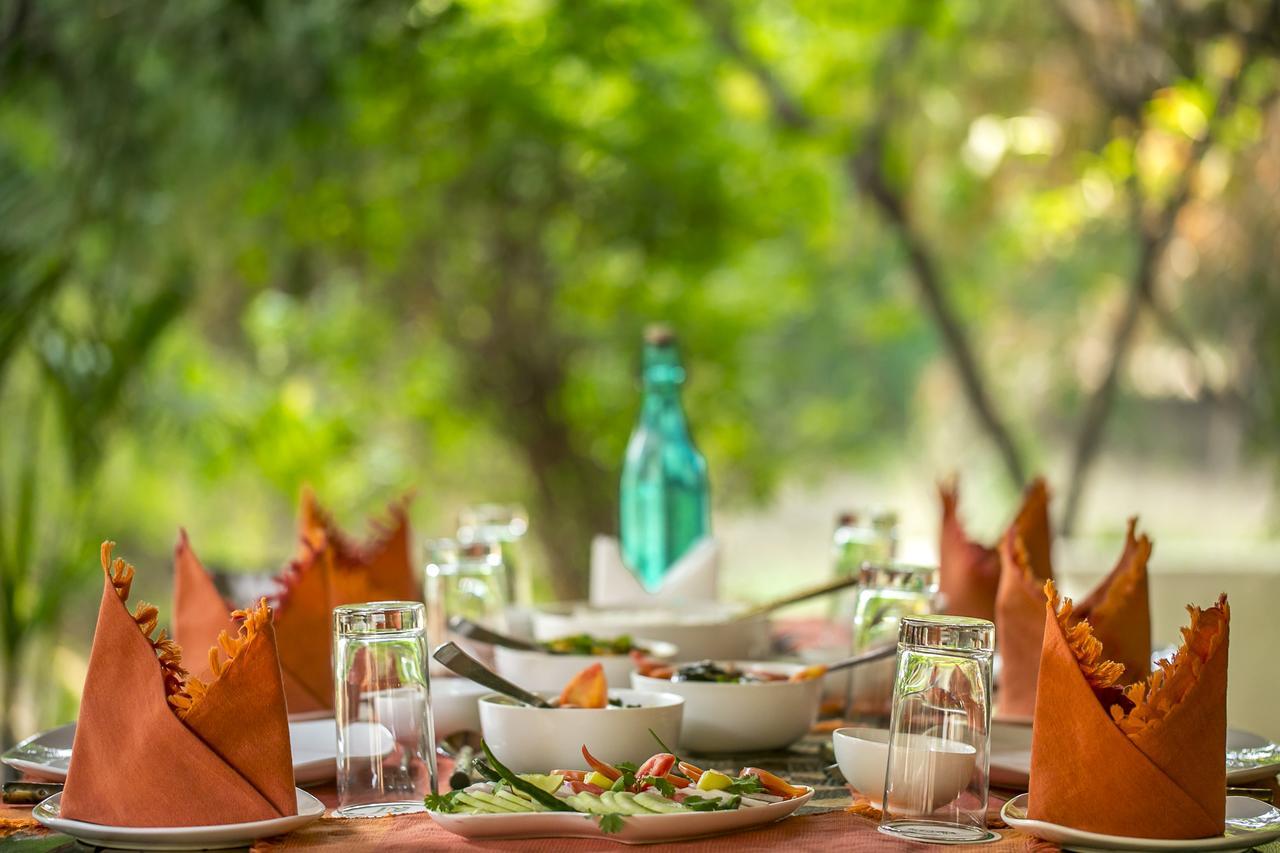 Bandhavgarh Jungle * Tala (Madhya Pradesh)