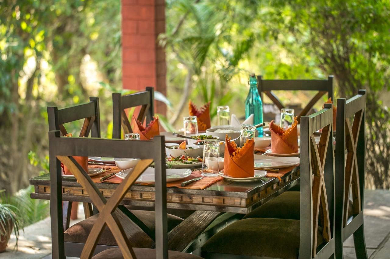 Bandhavgarh Jungle